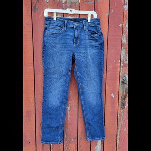 Banana Republic Girlfriend Jean Denim Dark Wash Size Petite 28/6